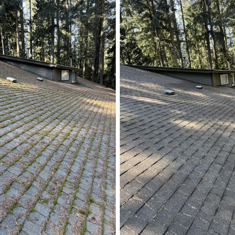 alpha asphalt roof cleaning