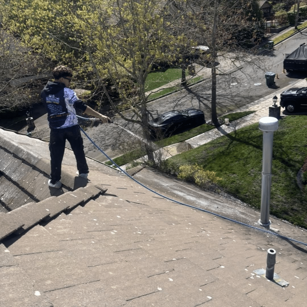 alpha roof washing