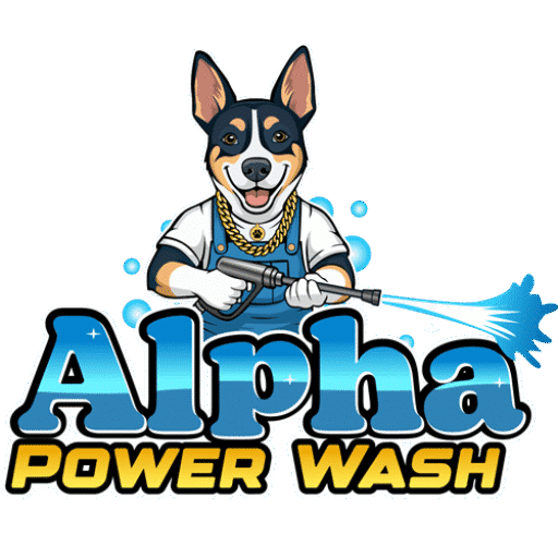 alpha power wash favicon