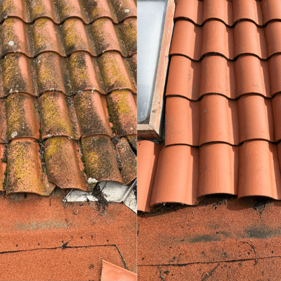 tile roof cleaning before after